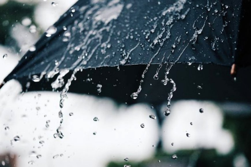 Imagen de noticia El SMN anticipa un trimestre con lluvias superiores a lo normal en Entre Ríos y parte del Litoral