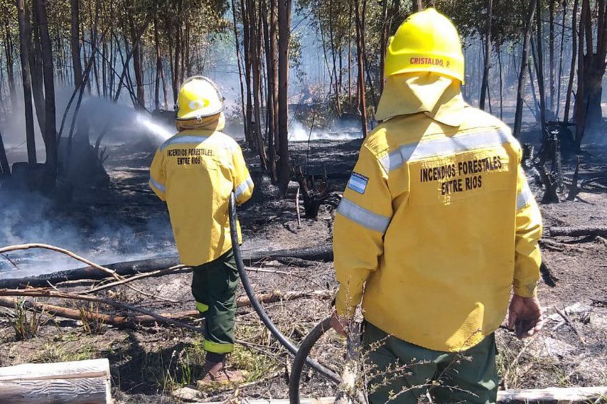 Imagen de noticia Alerta por riesgo extremo de incendios en Entre Ríos y en otras provincias
