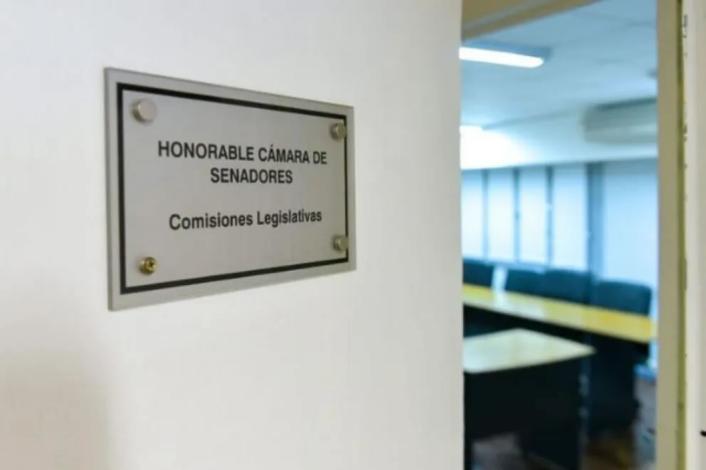 Imagen de noticia Concluyó la etapa de exposiciones por la reforma previsional y el Senado avanza hacia el dictamen