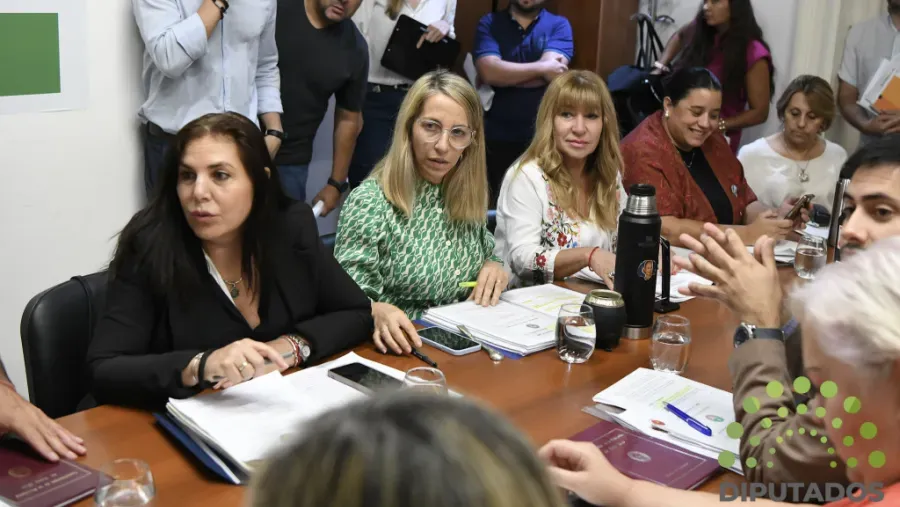 Lena dijo que el martes los diputados tuvieron “todos los oficios contestados”