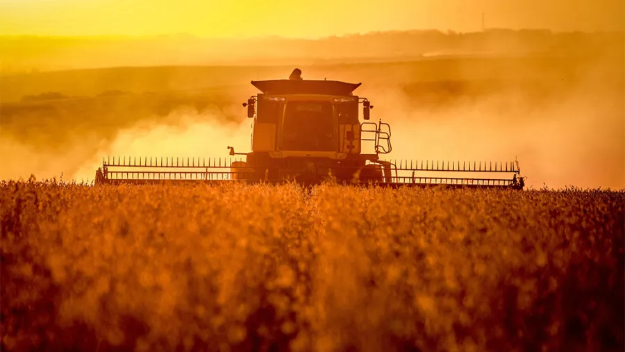 Prohibidos en la Unión Europea pero exportados al Mercosur: Europa y su acostumbrada doble moral