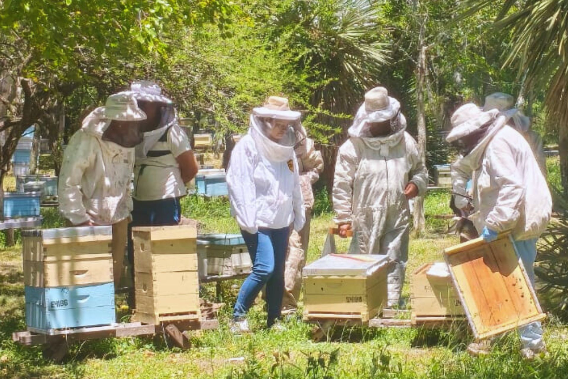 Se desarrolla una capacitación en apicultura destinada a trabajadores y nuevos interesados del sector
