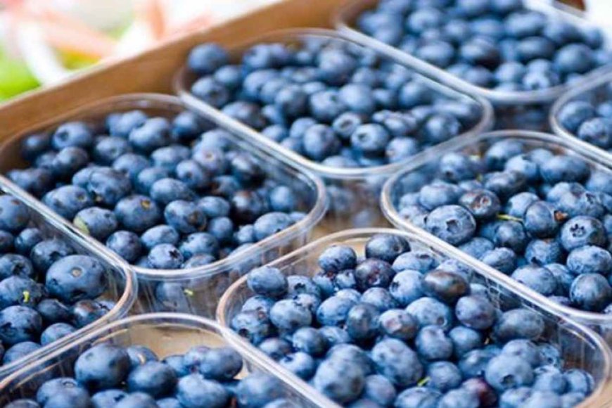 Los arándanos argentinos finalizaron la temporada con un menor volumen de exportación