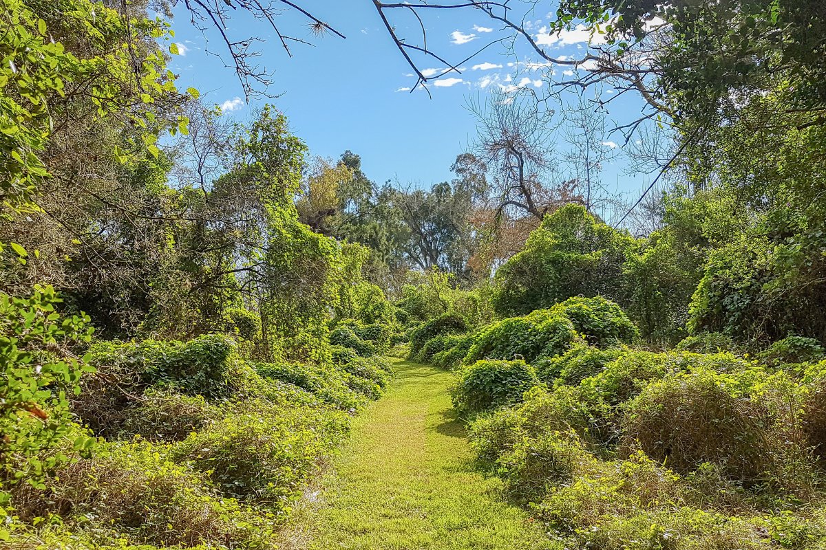 Imagen de noticia La Reserva Natural Las Piedras, un modelo de conservación y disfrute responsable en Gualeguaychú