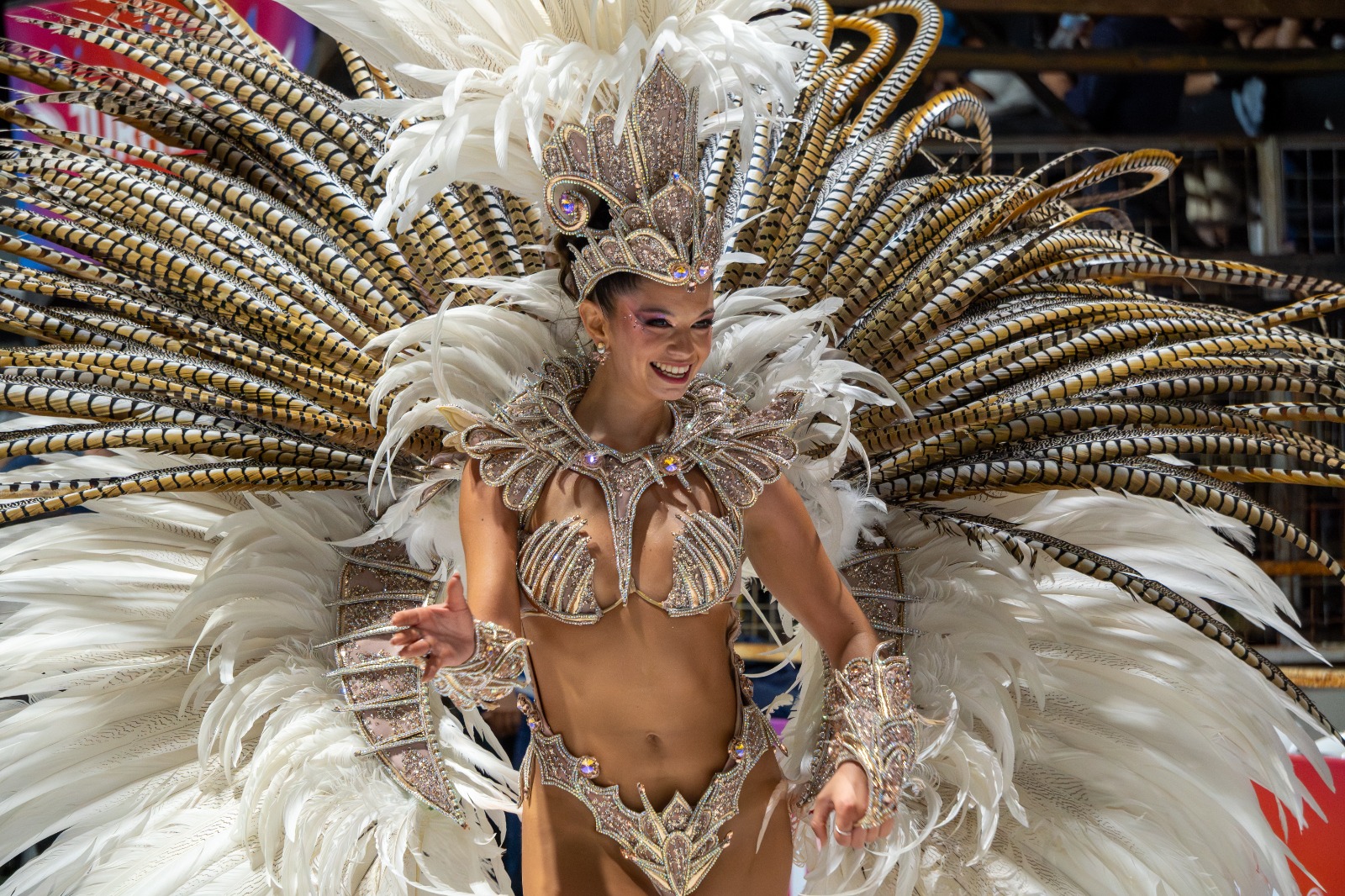 Imagen de noticia Los descuentos a los locales, las autoridades nacionales, los pilotos del TC y la cobertura de TN marcarán la sexta jornada