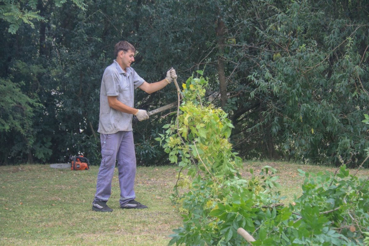 Imagen de noticia Concluyó la limpieza integral del Camino de la Costa y la ribera del río Gualeguaychú