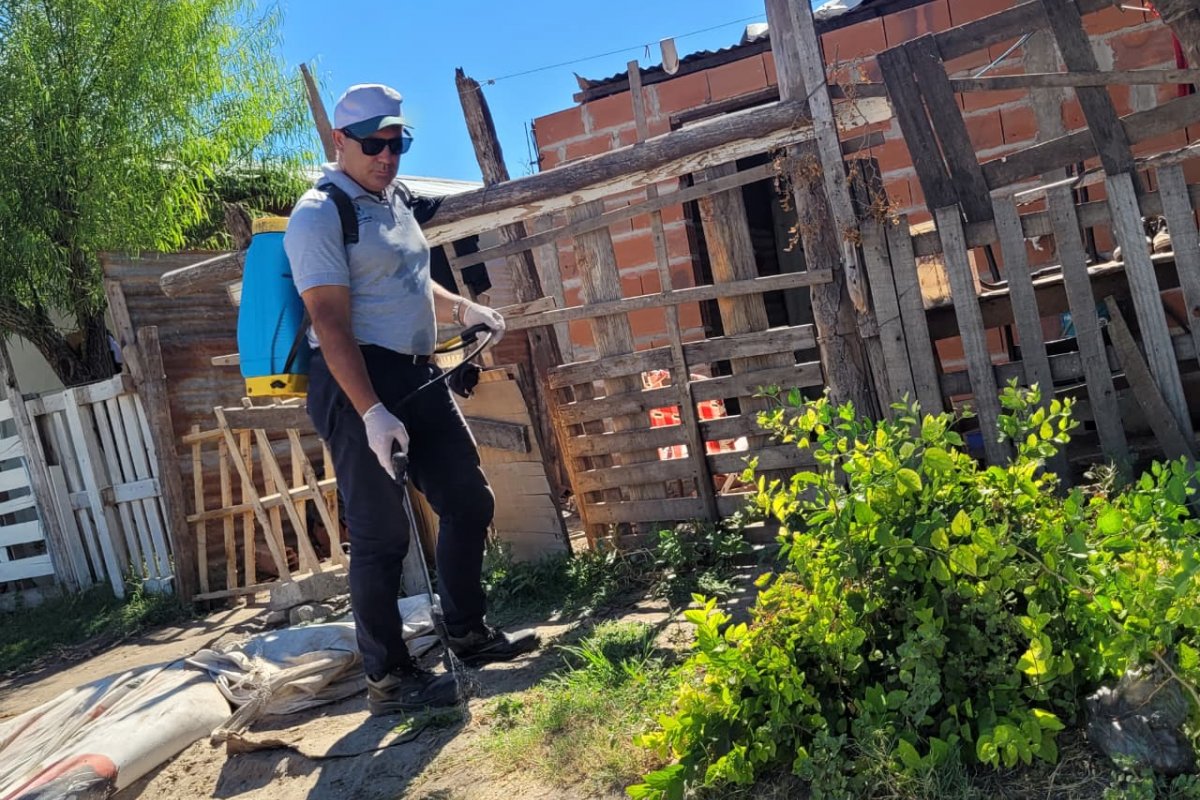 Imagen de noticia Se realizará una abordaje sanitario y ambiental en Plaza Basavilbaso