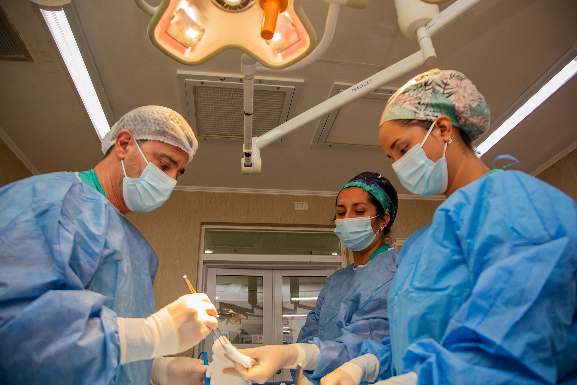 Imagen de noticia Nueva donación de órganos favorece a seis personas, dos en emergencia nacional