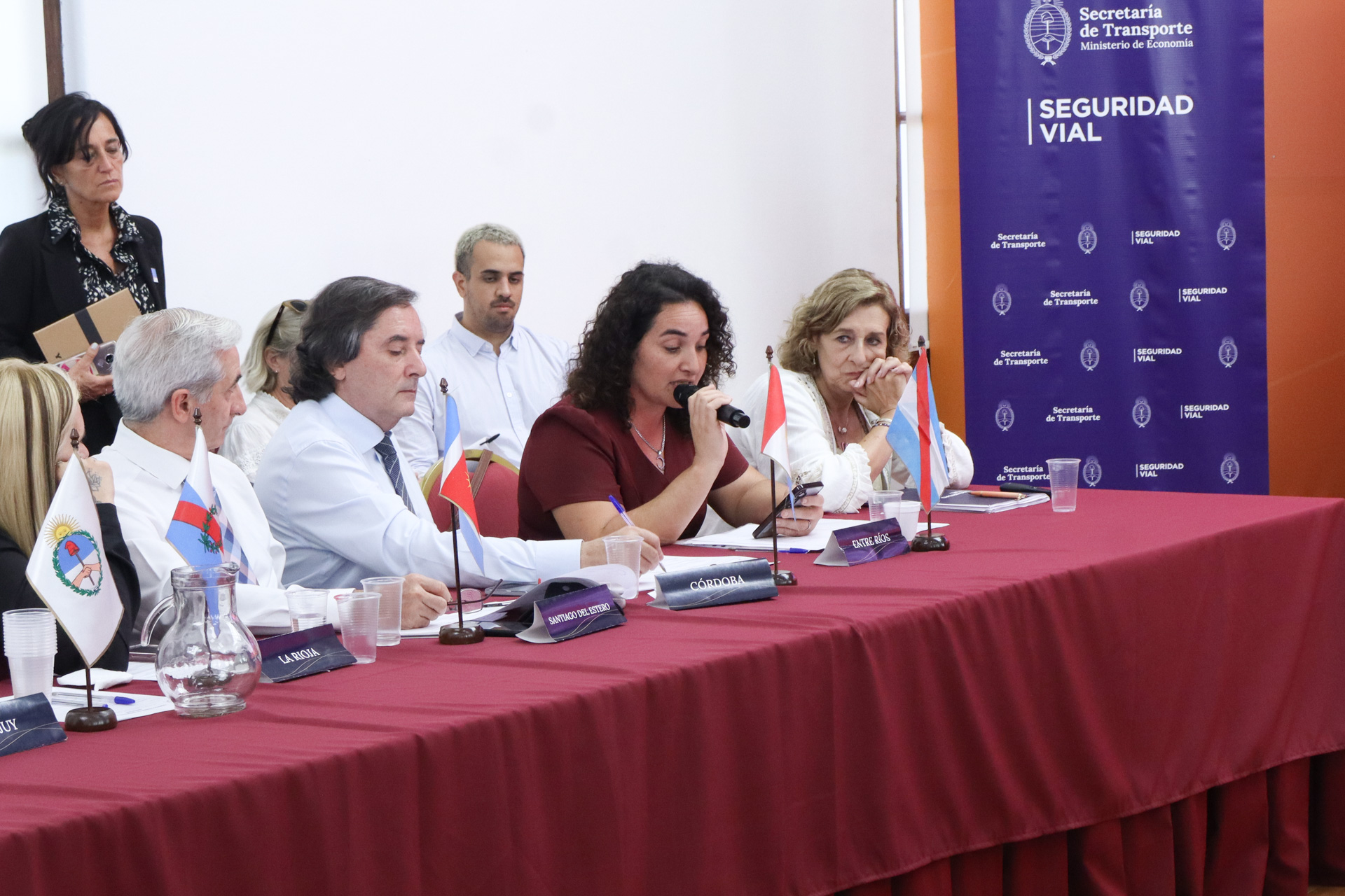 Imagen de noticia Entre Ríos participó de la Reunión 104 del Consejo Federal de Seguridad Vial