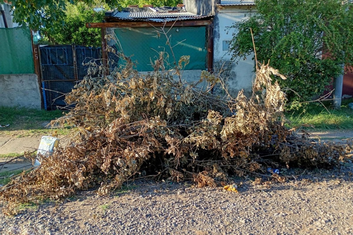 Imagen de noticia Continúan los operativos de descacharrización en barrios de la ciudad