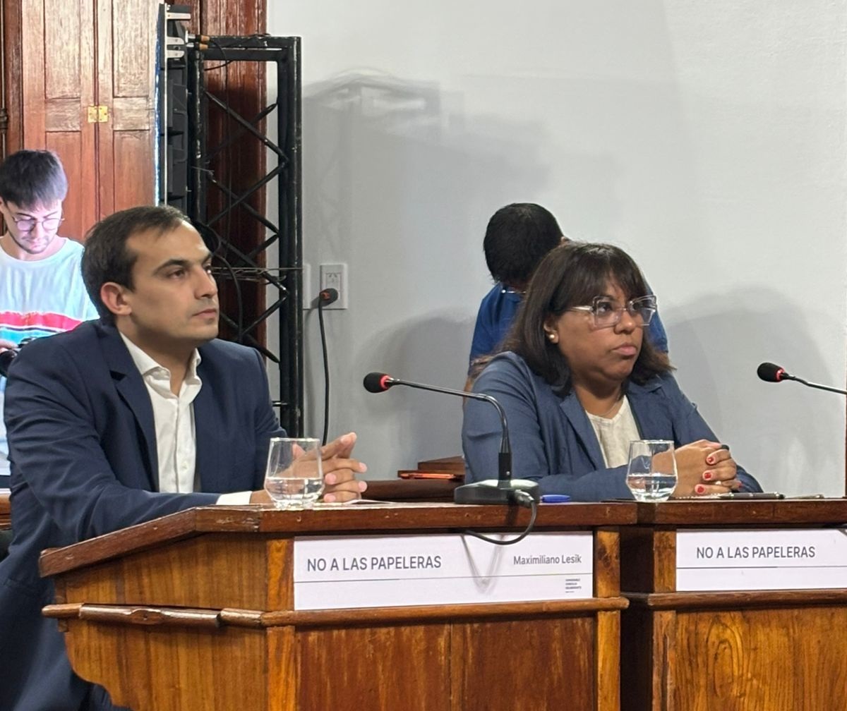 Imagen de noticia Buscan reactivar en el Concejo Deliberante un programa municipal para prevenir el suicidio en Gualeguaychú