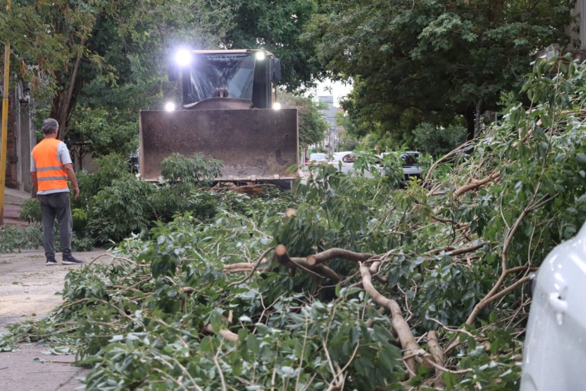 Imagen de noticia Se llevó a cabo un intenso operativo municipal tras el temporal que se registró en la ciudad