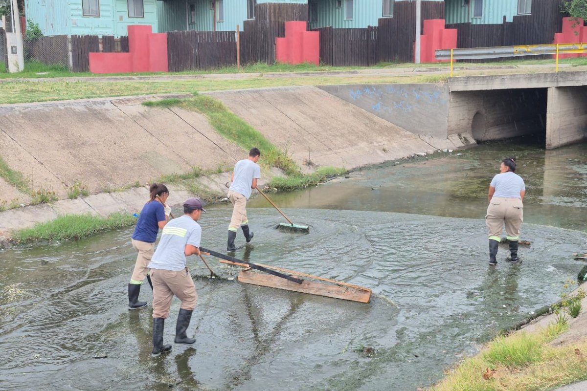 Imagen de noticia Una limpieza integral del Canal Munilla recuperó su pleno funcionamiento