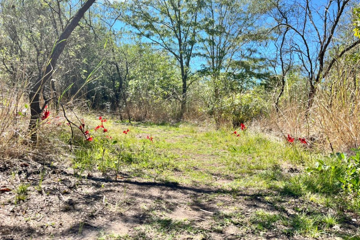 Imagen de noticia El Gobierno de Gualeguaychú invita a descubrir y cuidar las Áreas Naturales Protegidas