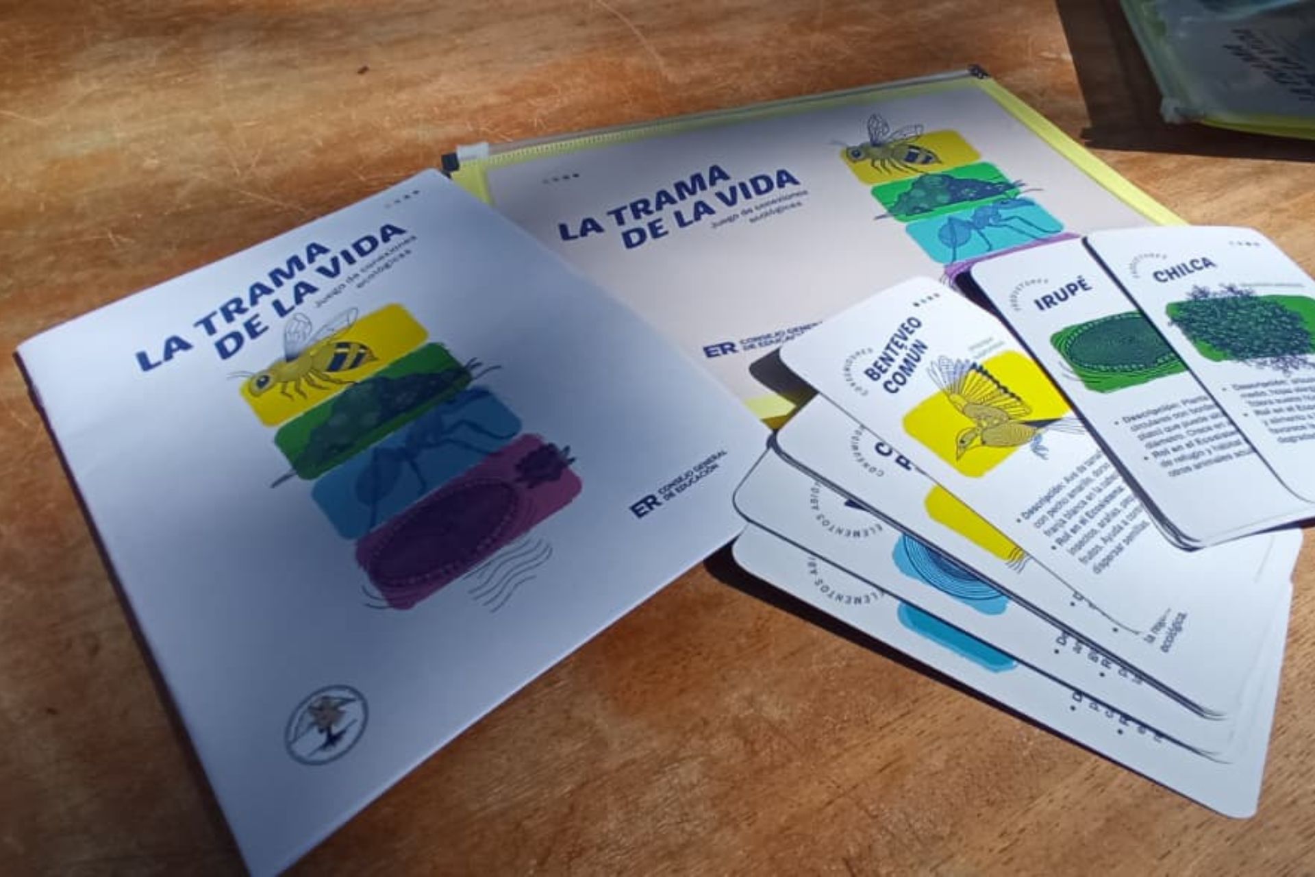 Imagen de noticia El CGE entregó materiales lúdicos sobre ambiente en escuelas entrerrianas