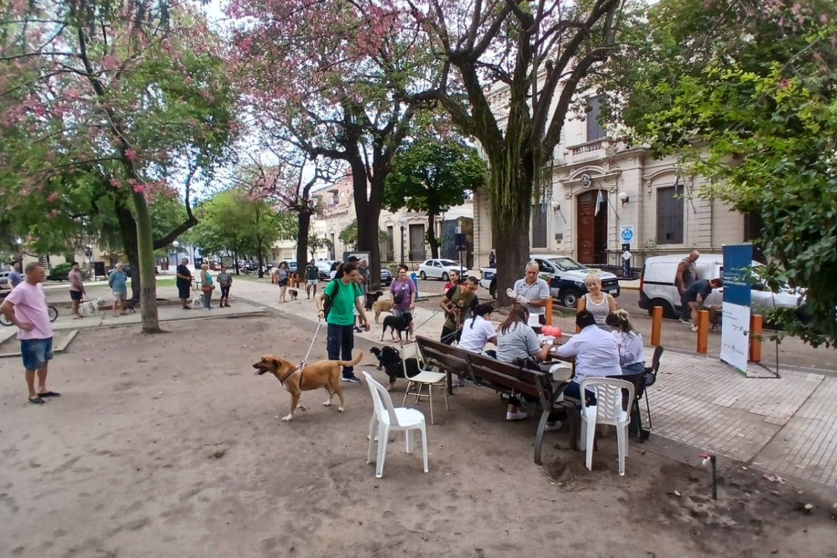 Imagen de noticia Gualeguaychú refuerza la salud pública con una masiva vacunación antirrábica en Plaza Urquiza