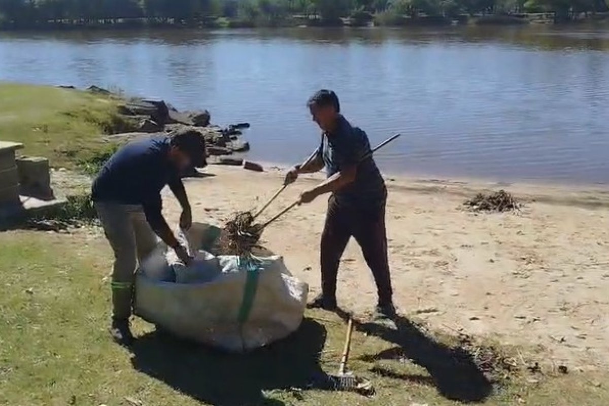 Imagen de noticia Limpieza del río Gualeguaychú y la costa: se extrajeron más de 2.000 kilos de material inorgánico