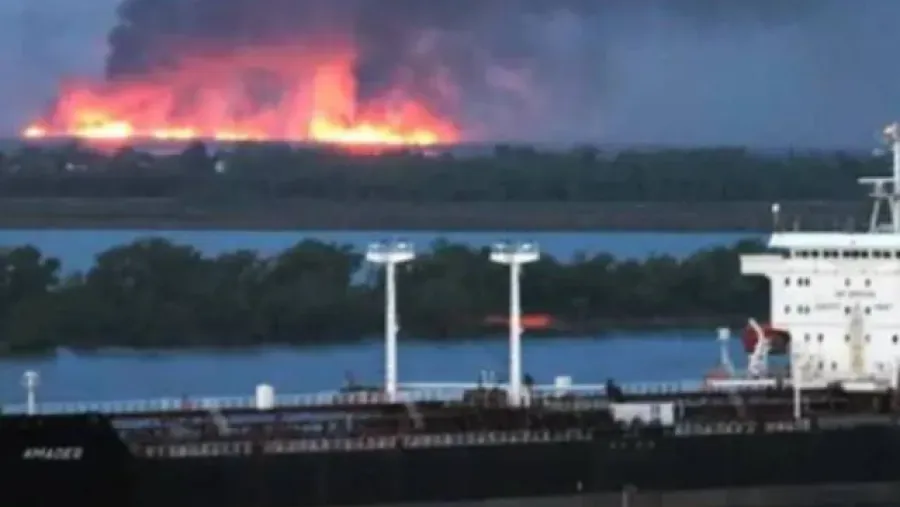 Imagen de noticia Ratifican las penas a los apicultores, pero el caso será revisado por la Corte