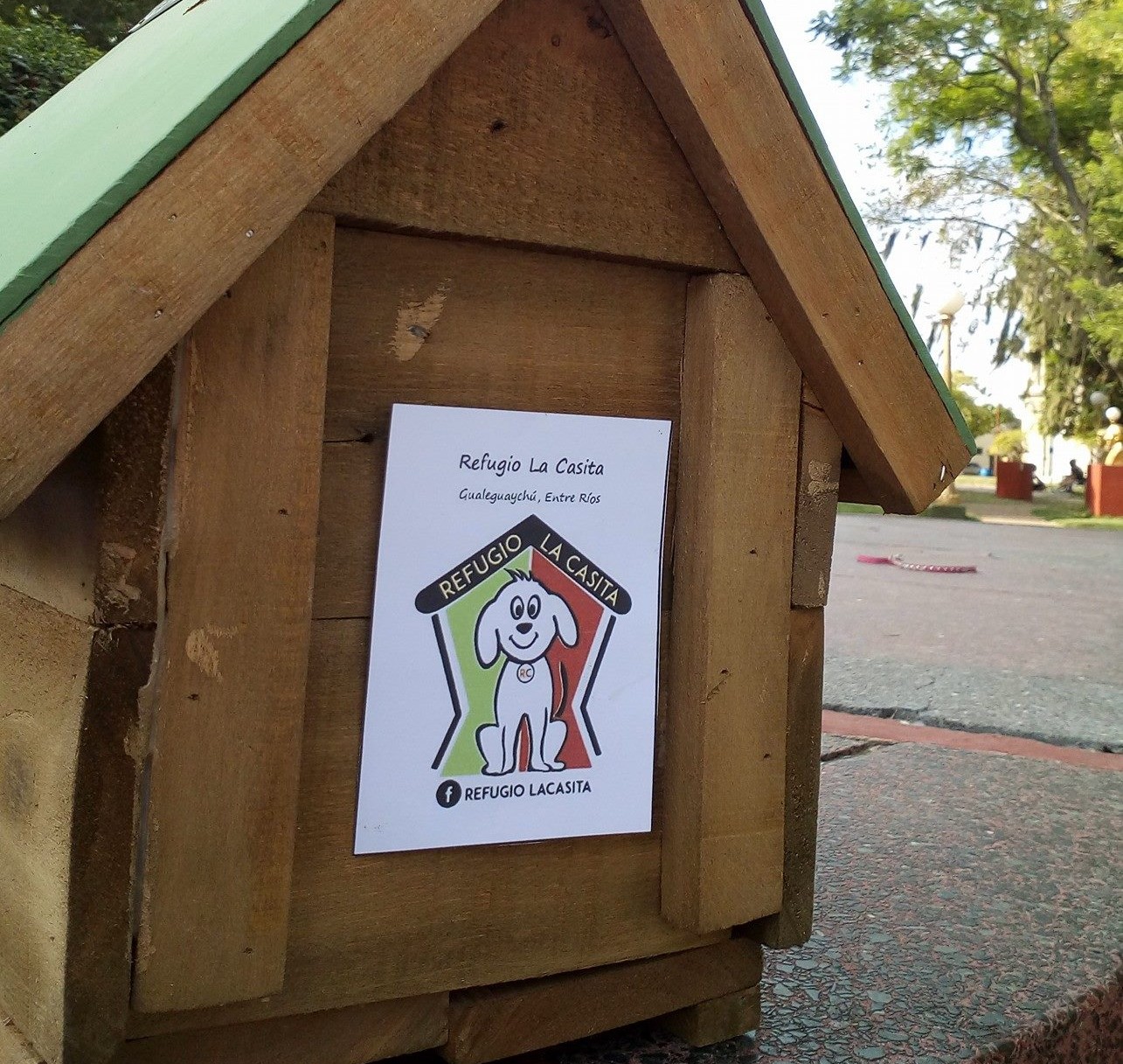 Imagen de noticia Organizan un bingo solidario para sostener un refugio con perros adultos en Gualeguaychú