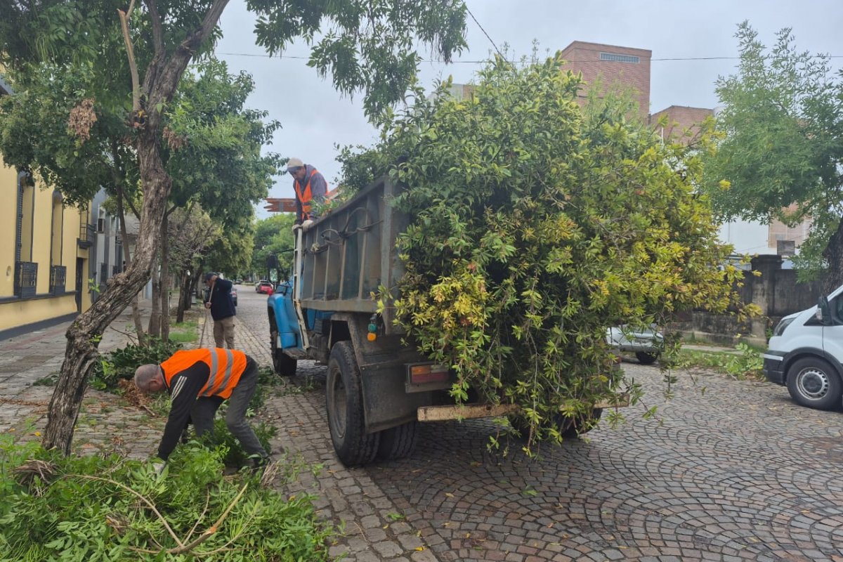 Imagen de noticia El Gobierno municipal realiza una intervención coordinada para mejorar el paisaje e infraestructura en calle Alem