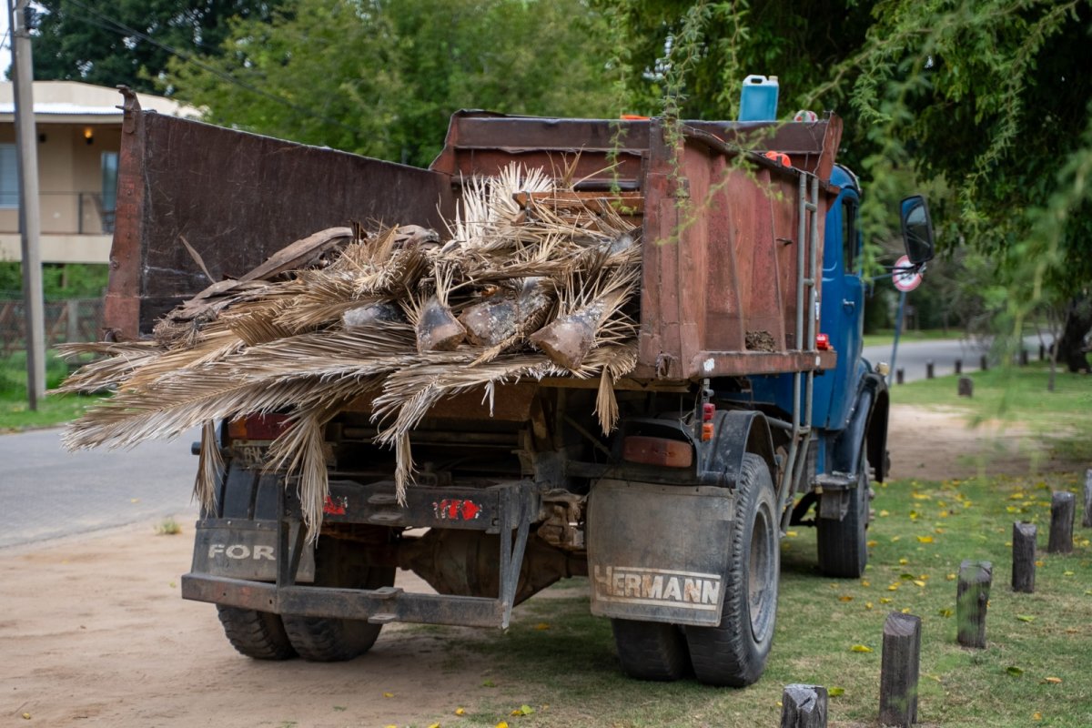 Imagen de noticia Recuerdan cómo solicitar la recolección de residuos especiales en Gualeguaychú