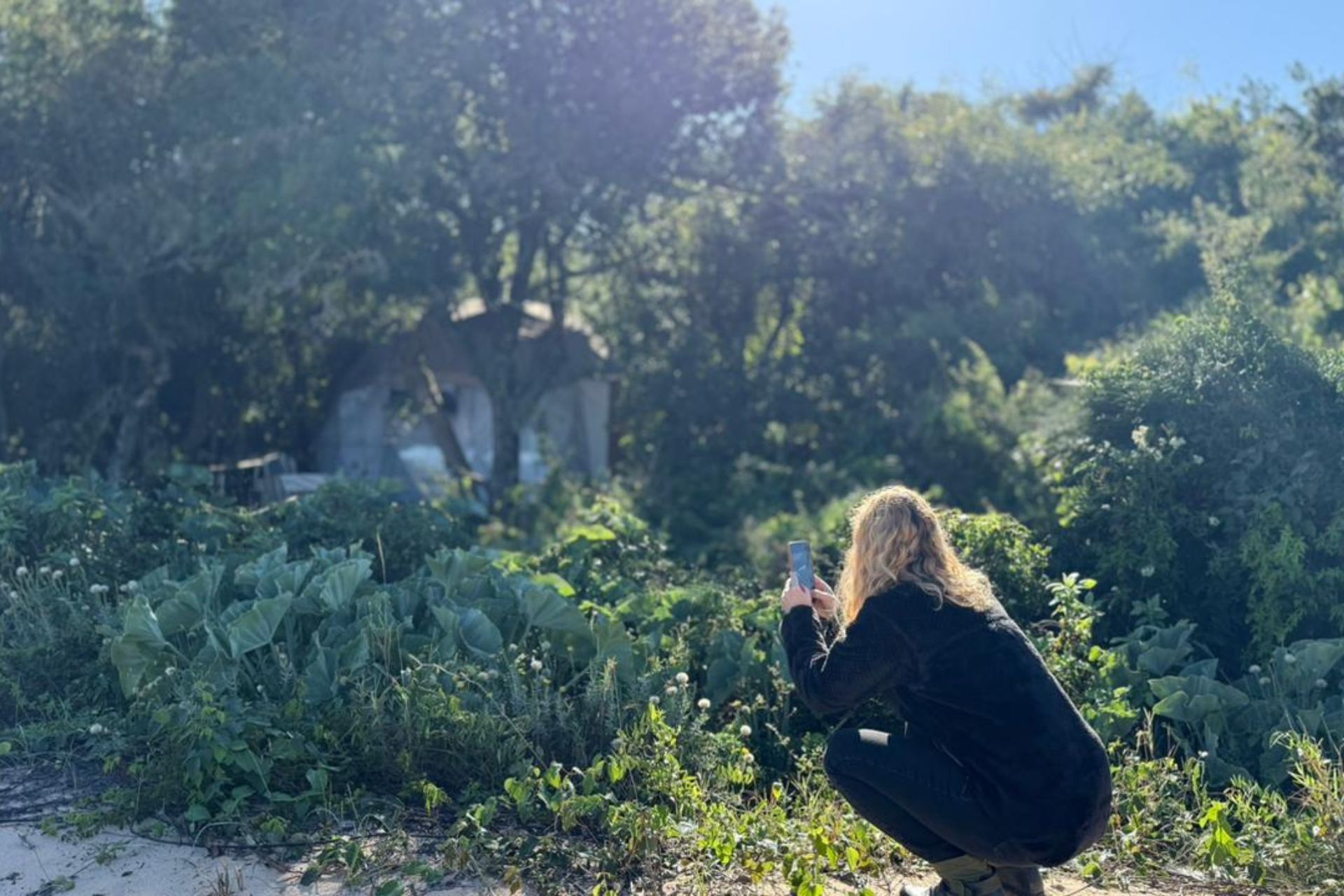 Imagen de noticia Entre Ríos releva campings, glampings y parques de motorhome para potenciar el turismo de naturaleza