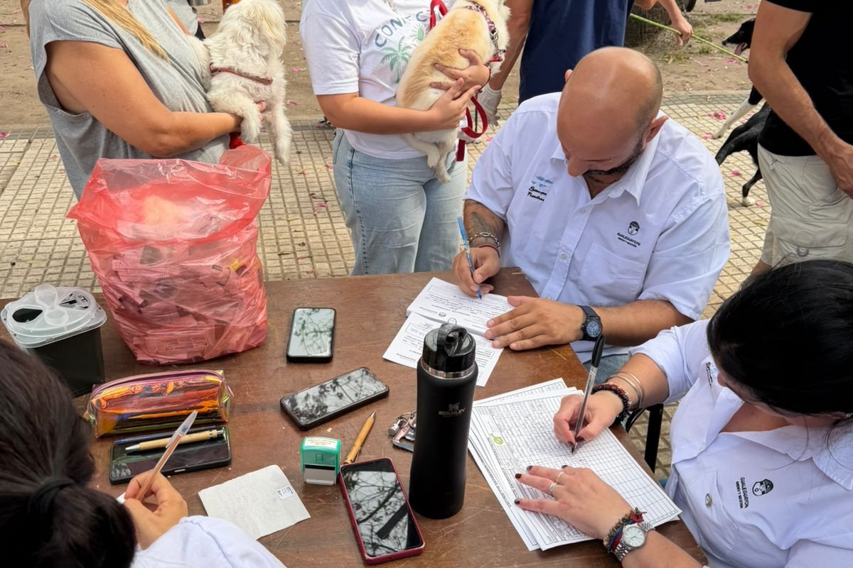 Imagen de noticia El Gobierno refuerza la prevención con nuevas jornadas de vacunación antirrábica