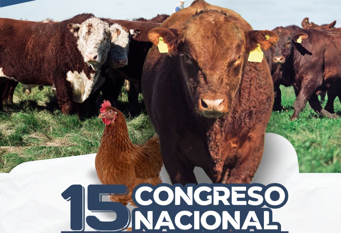 Gualeguaychú será sede del congreso nacional de fundaciones y entes sanitarios