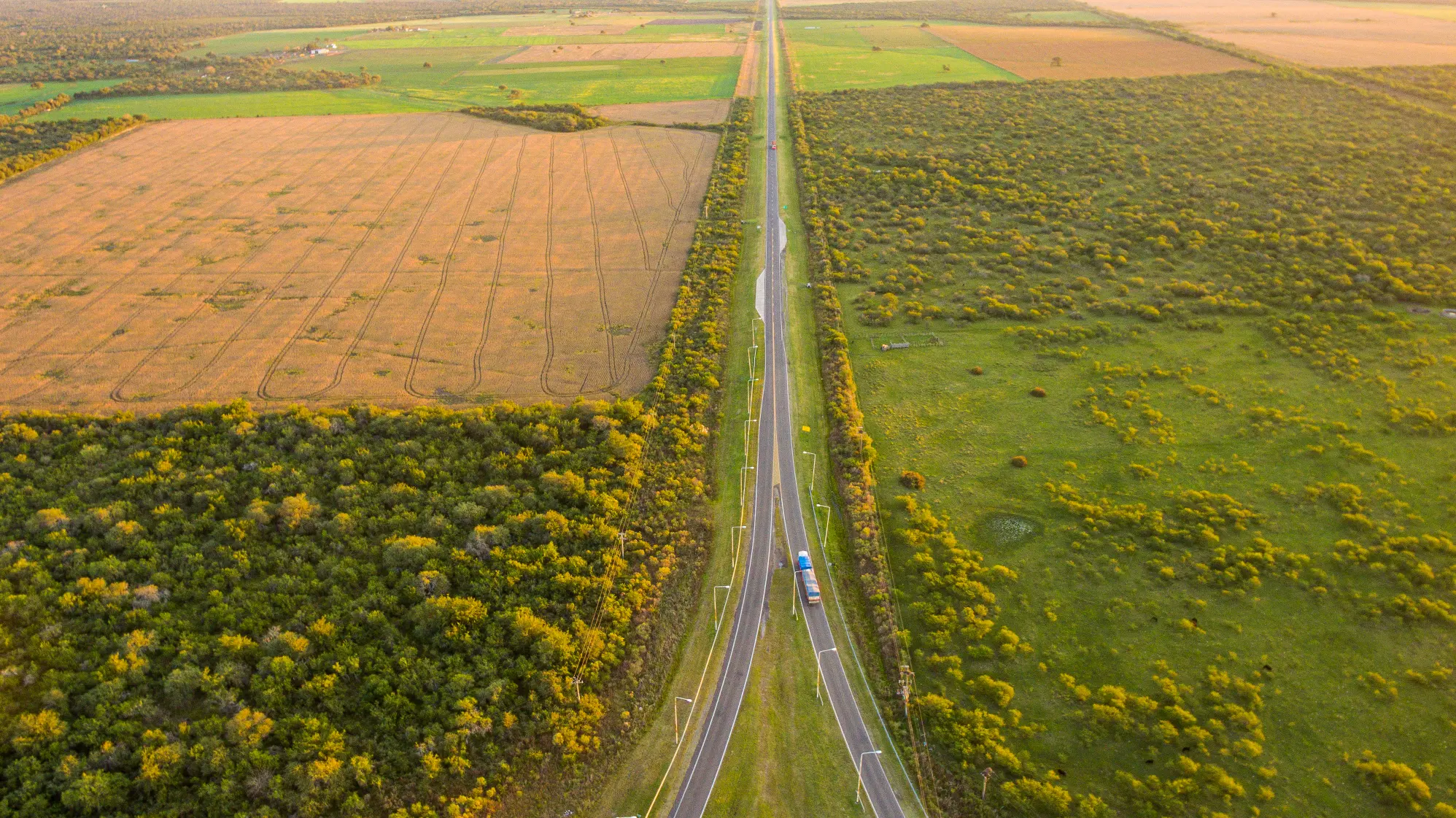 Imagen de noticia Crece la extranjerización en Entre Ríos, pero el problema de fondo sigue siendo la concentración