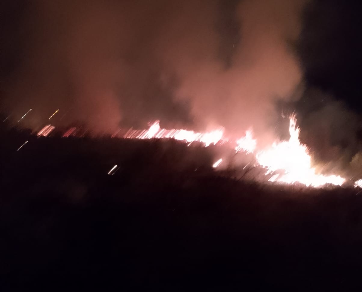 Imagen de noticia Bomberos sofocaron un incendio que consumió una hectárea