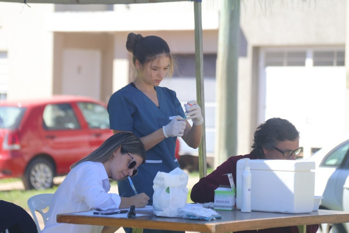 Imagen de noticia Programa de Pasantías: se abre la convocatoria a estudiantes de Veterinaria