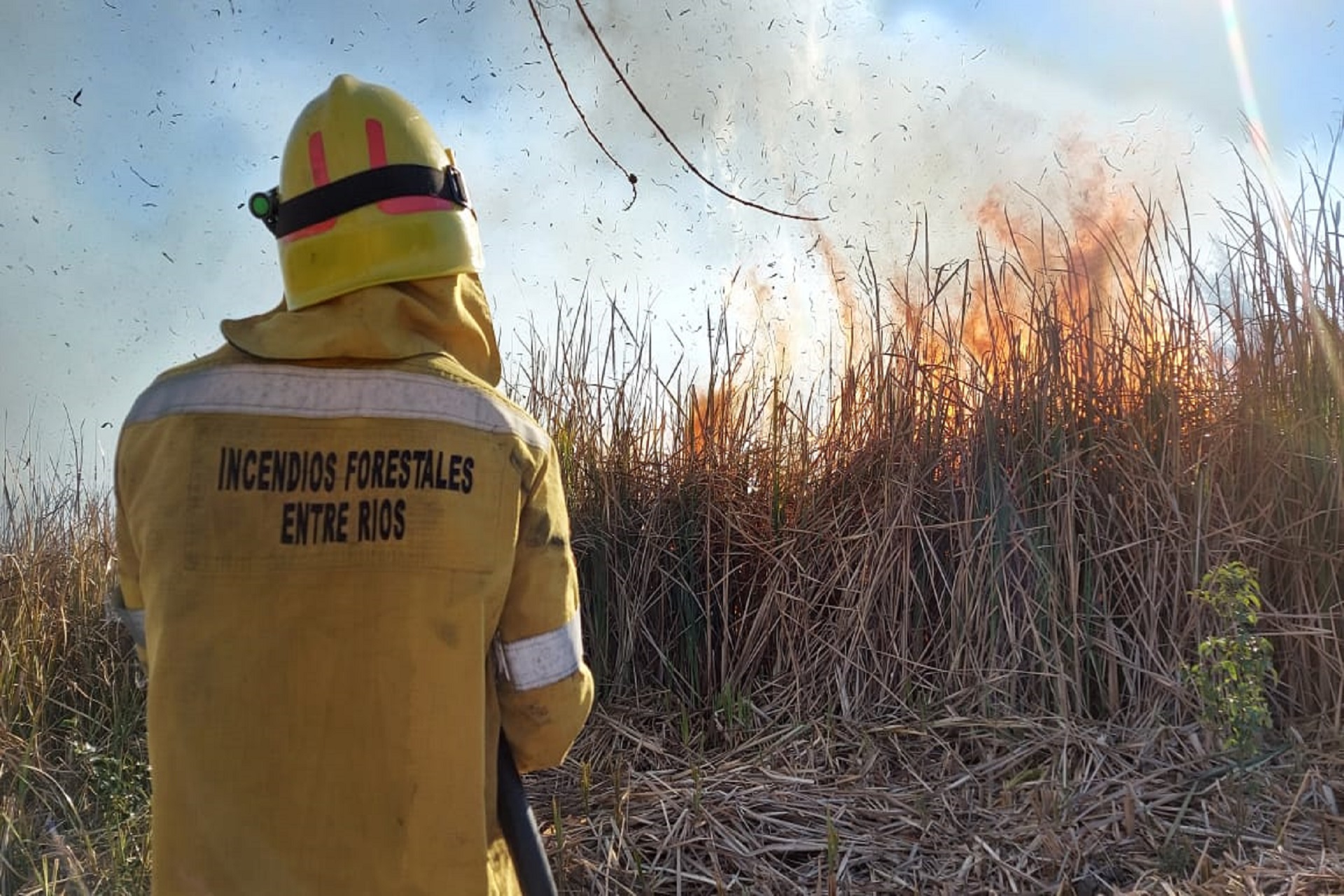 Imagen de noticia La provincia fortalece su estrategia de prevención y combate de incendios