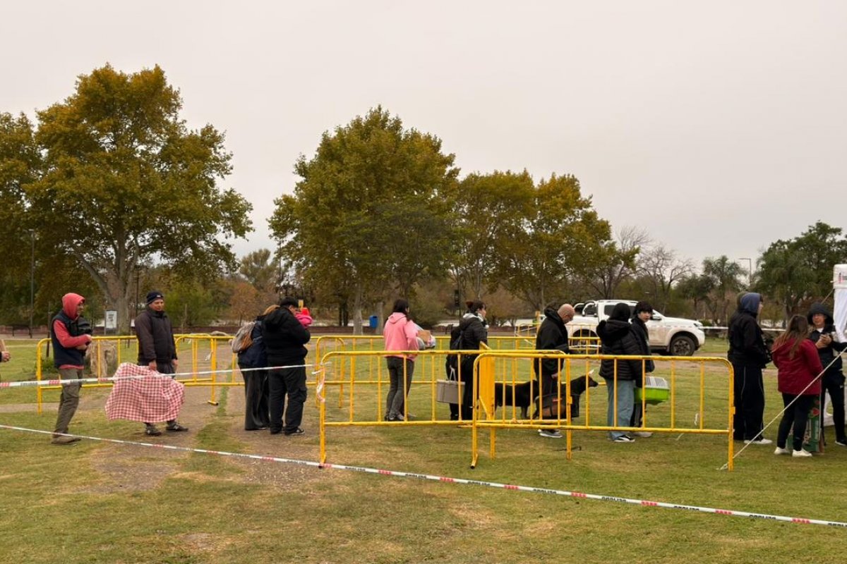 Imagen de noticia El Gobierno municipal se acerca a las 10 mil castraciones gratuitas