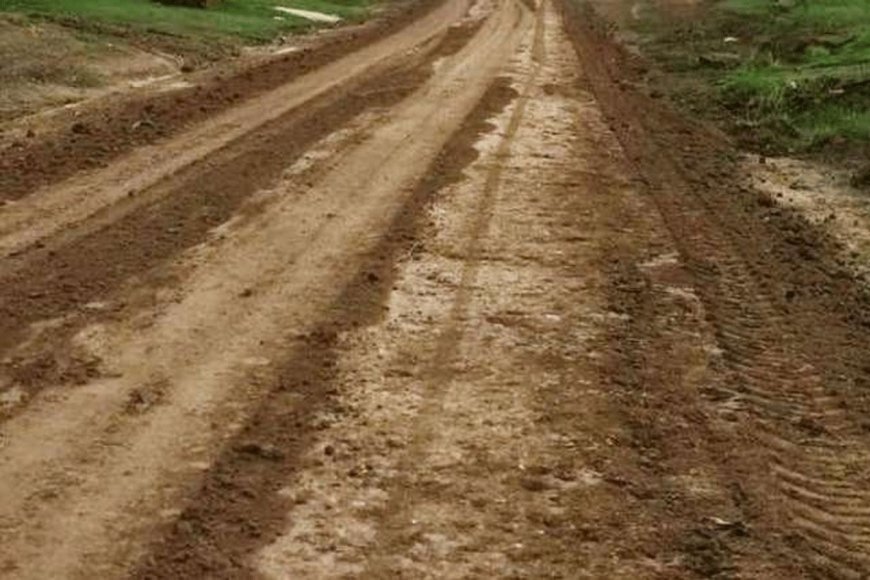 Imagen de noticia Colón prohibió el uso de broza como terminación en calles urbanas