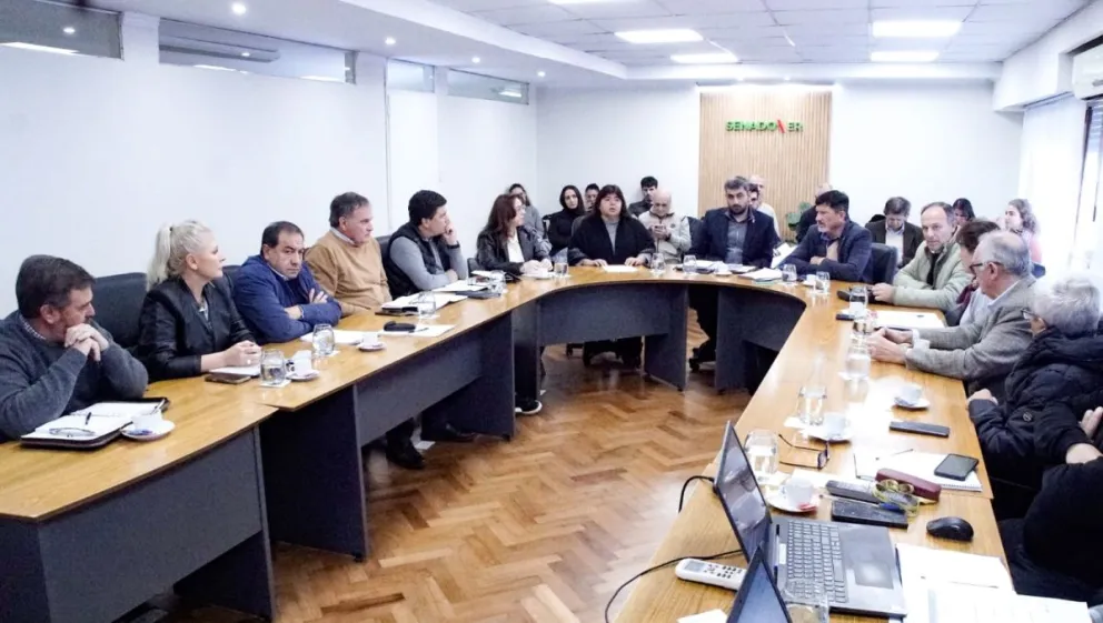 Imagen de noticia El Senado abrió el debate por los cambios en la Caja y convocará a gremios, especialistas y funcionarios durante junio