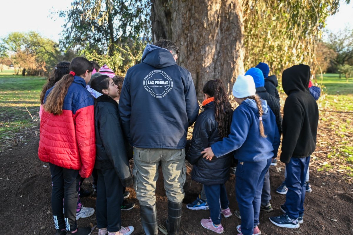 Imagen de noticia Gualeguaychú celebra el Mes del Ambiente con actividades y capacitaciones