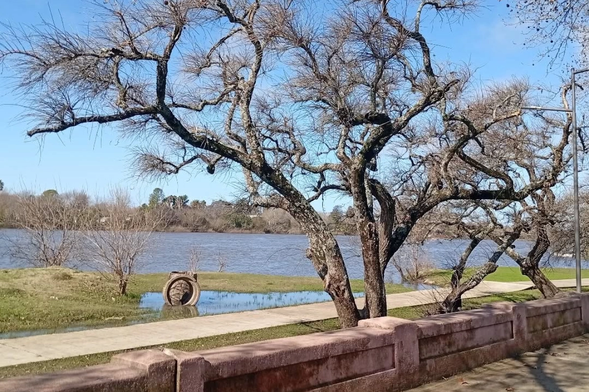 Imagen de noticia El Mundial condicionó el movimiento turístico y Gualeguaychú sintió el impacto en la ocupación