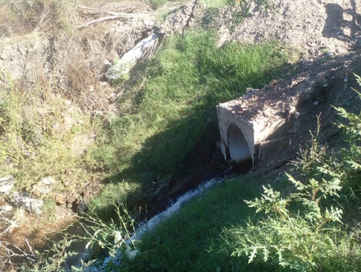 Imagen de noticia Horacio Melo denunció presuntos vuelcos irregulares de efluentes industriales en Gualeguaychú