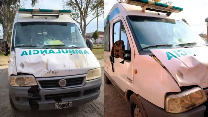 Una ambulancia chocó contra un caballo suelto y el conductor sufrió lesiones