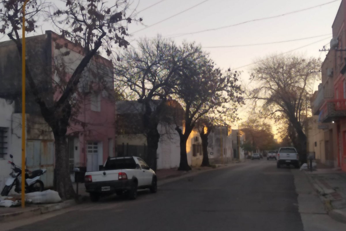Imagen de noticia Comienza una campaña de poda en el macrocentro para preservar el arbolado de la ciudad