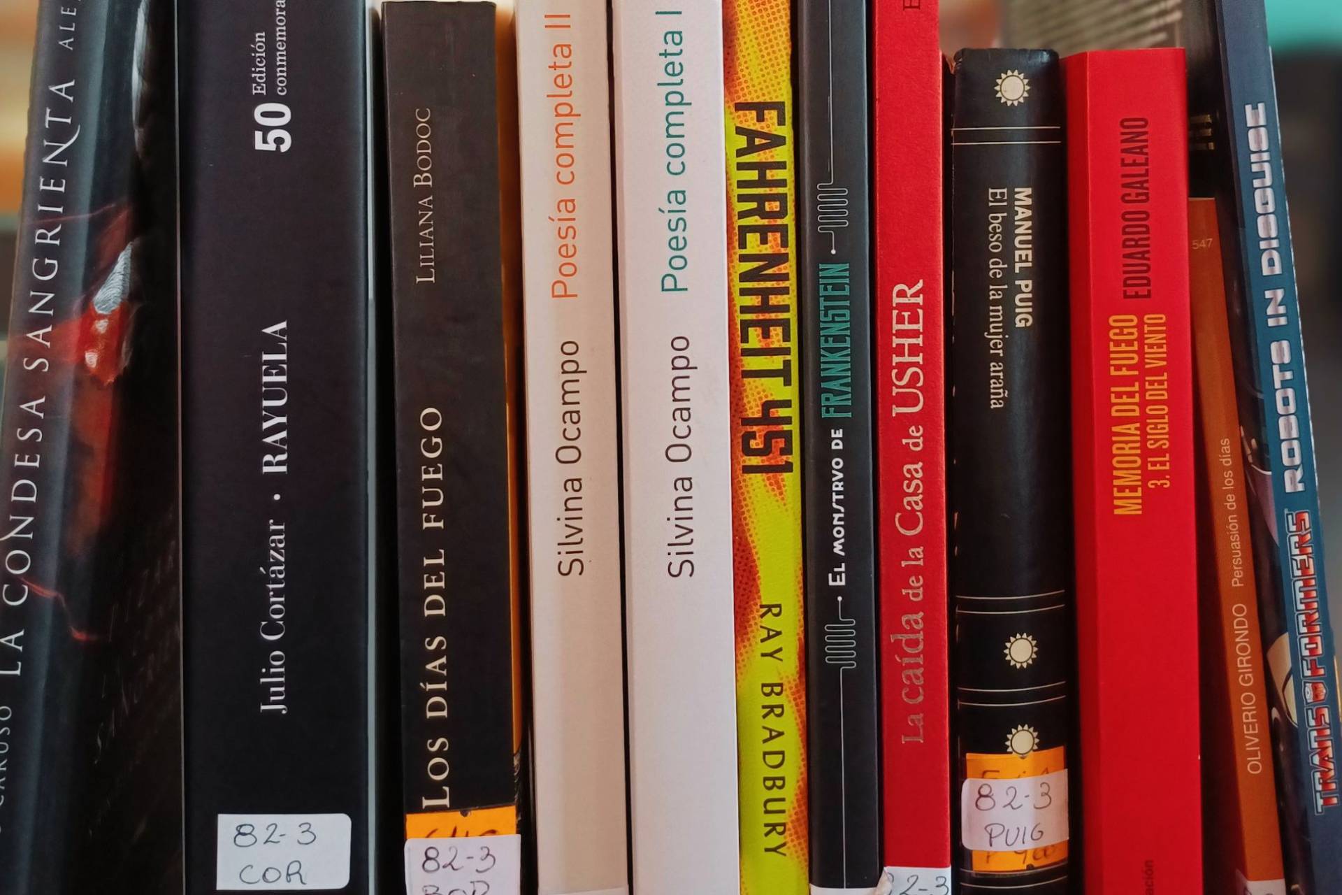 Imagen de noticia La Biblioteca Provincial convoca a la donación de libros para fortalecer su Fondo General