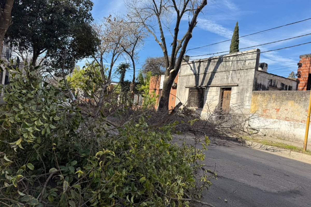 Imagen de noticia La poda invernal continúa mañana en Doello Jurado y Chacabuco