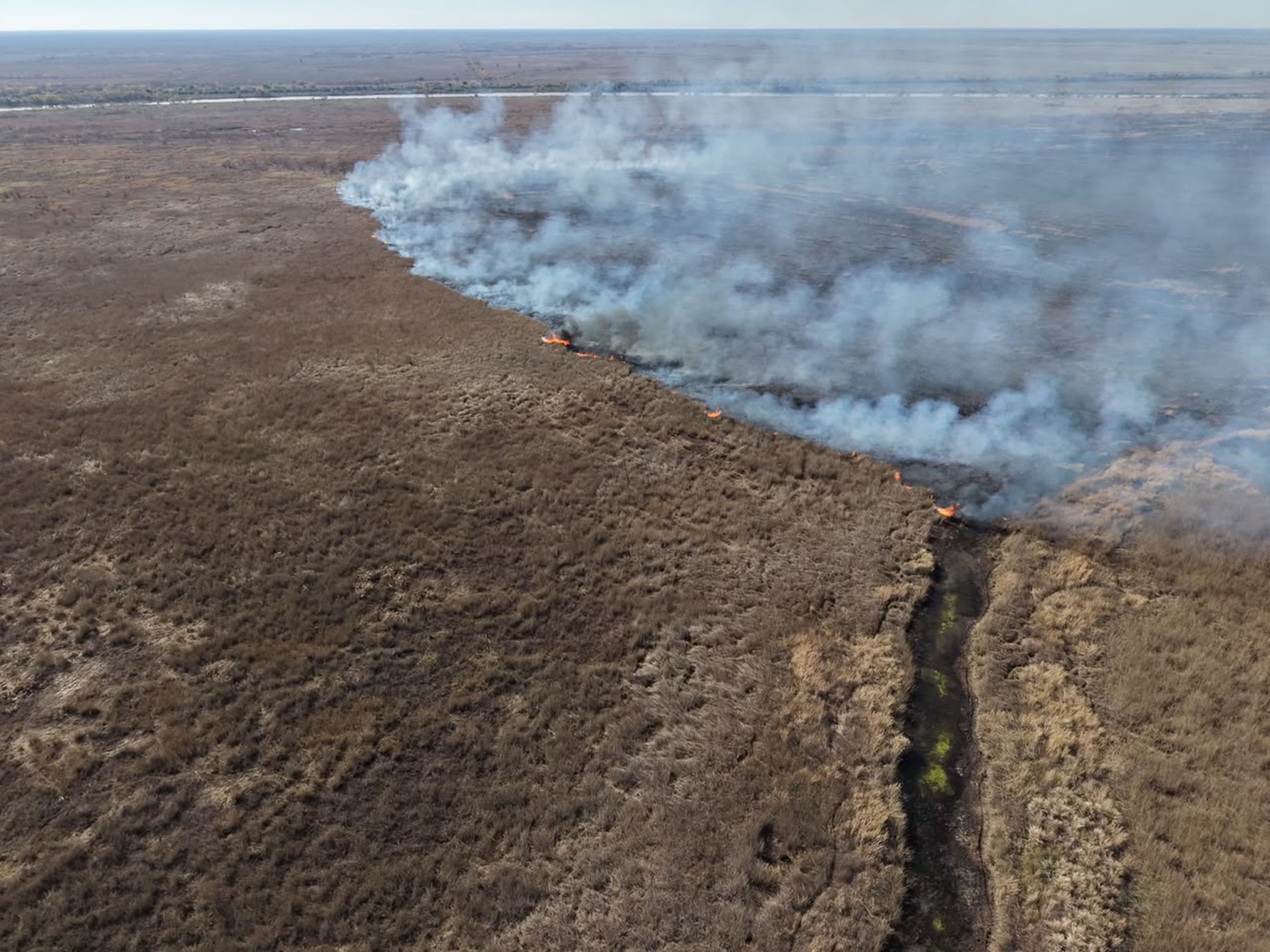Imagen de noticia Brigadas entrerrianas asisten en el combate de incendios en la zona del Delta