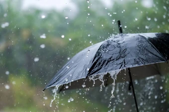 Imagen de noticia El Niño se fortalece y crece la probabilidad de un evento muy intenso hacia fines de 2026