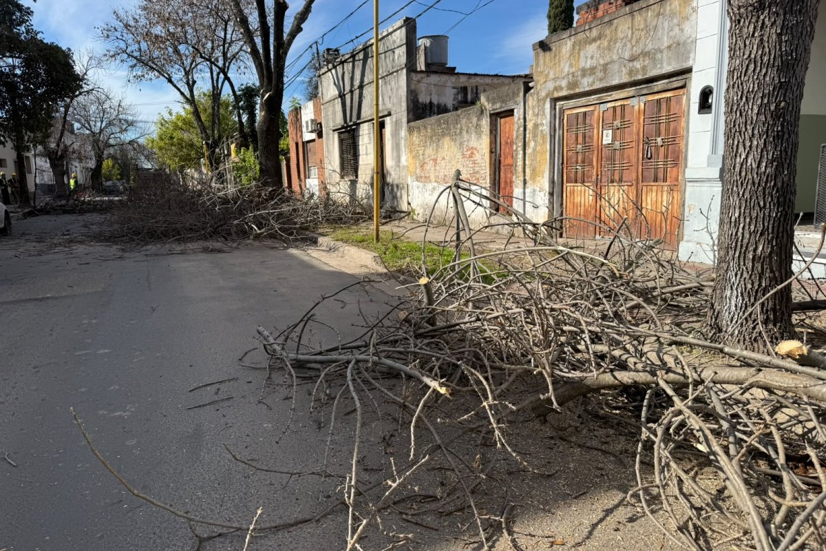 Imagen de noticia La poda invernal del macrocentro inicia este miércoles desde Gervasio Méndez y Montevideo