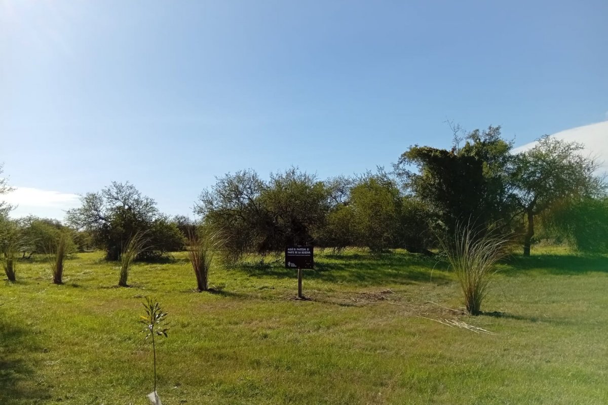 Imagen de noticia Implementan un plan de manejo de pastizales para proteger la biodiversidad de la reserva natural