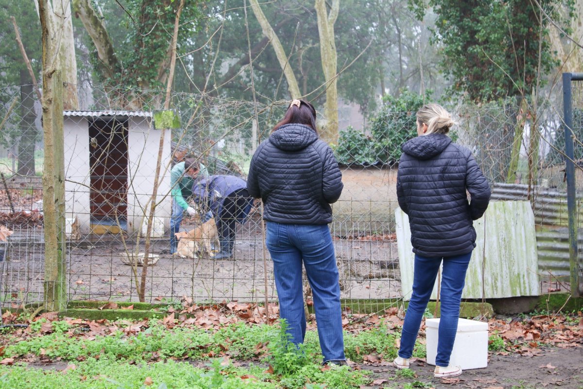 Imagen de noticia Vacunaron a más de 50 perros contra la leptospirosis en un refugio de Gualeguaychú