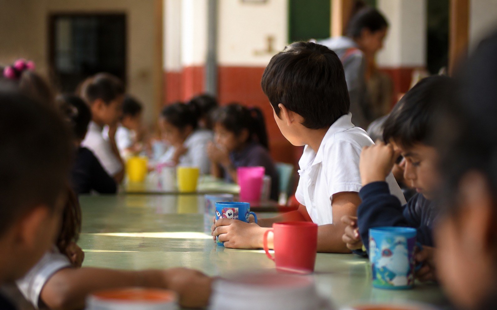 Imagen de noticia Presentaron un amparo para frenar el nuevo sistema de desayunos y meriendas en las escuelas entrerrianas