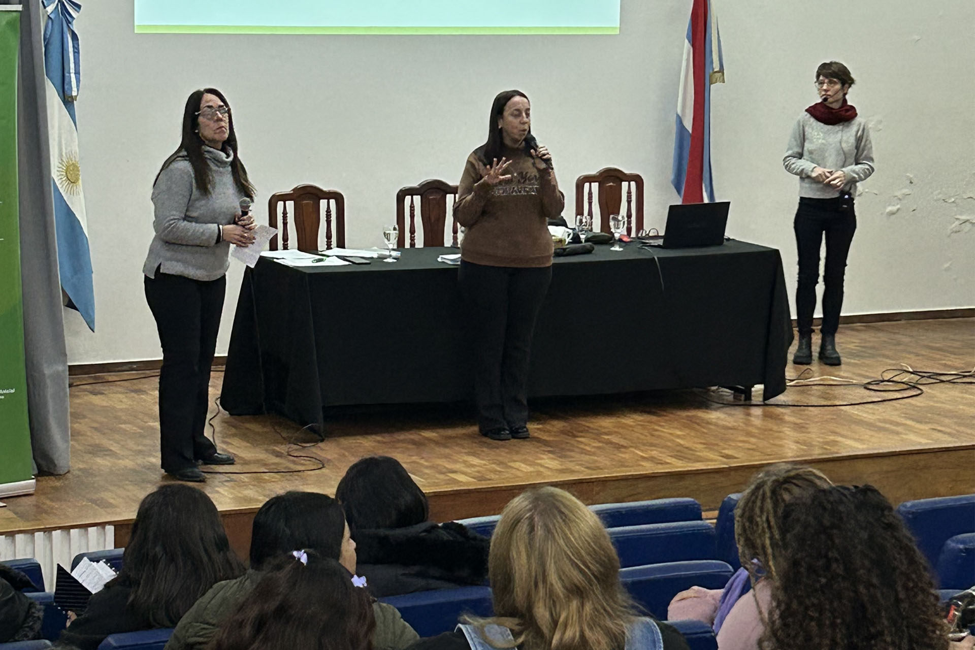Imagen de noticia Se desarrolló el cuarto ciclo de formación en alfabetización para docentes de nivel inicial