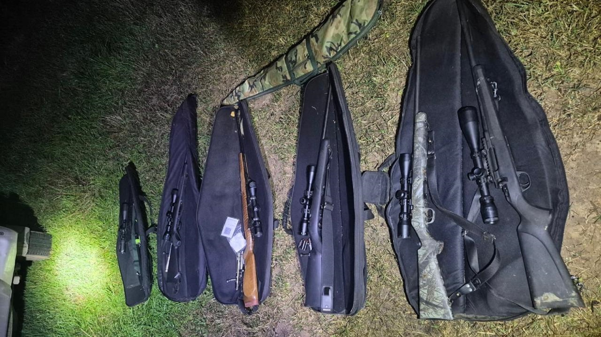 Imagen de noticia Desbaratan una red de caza furtiva en Islas del Ibicuy